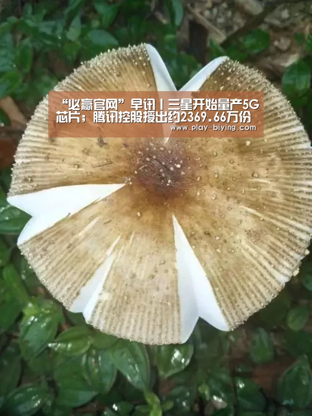 “必赢官网”早讯丨三星开始量产5G芯片;腾讯控股授出约2369.66万份购股权(图4) 必赢官网