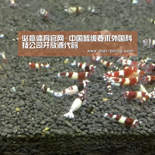 必赢体育官网-中国暂缓要求外国科技公司开放源代码(图1) 必赢体育官网