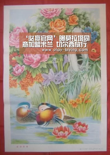 必赢官网